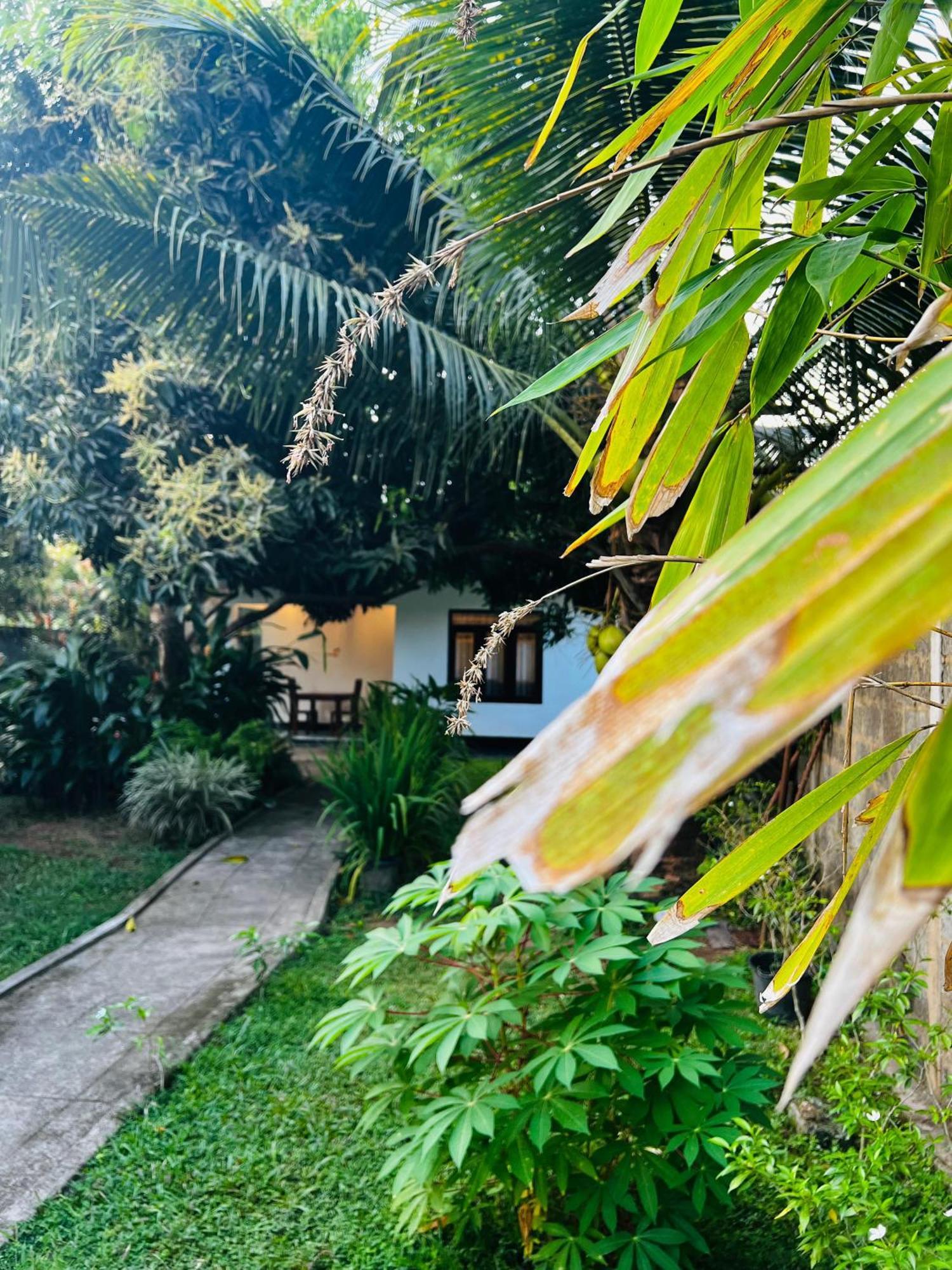 Вилла The Mango Retreat Мирисса Экстерьер фото
